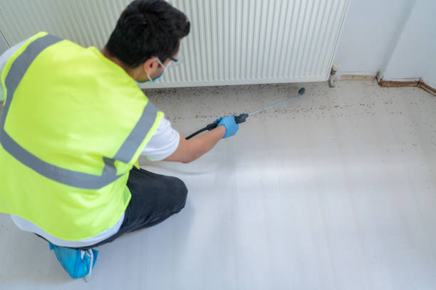 Best Fumigation Services  in Oak Brook, IL